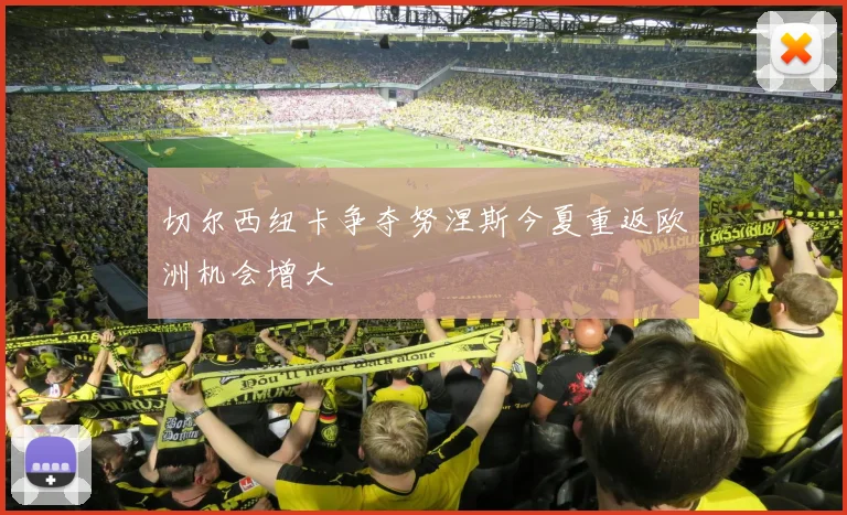 切尔西纽卡争夺努涅斯今夏重返欧洲机会增大