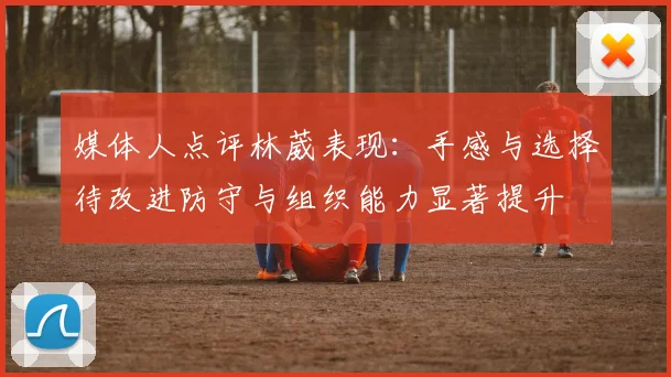 媒体人点评林葳表现：手感与选择待改进防守与组织能力显著提升
